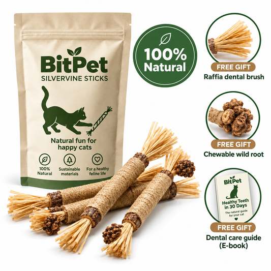 BitPet — Silvervine Stick for Cats